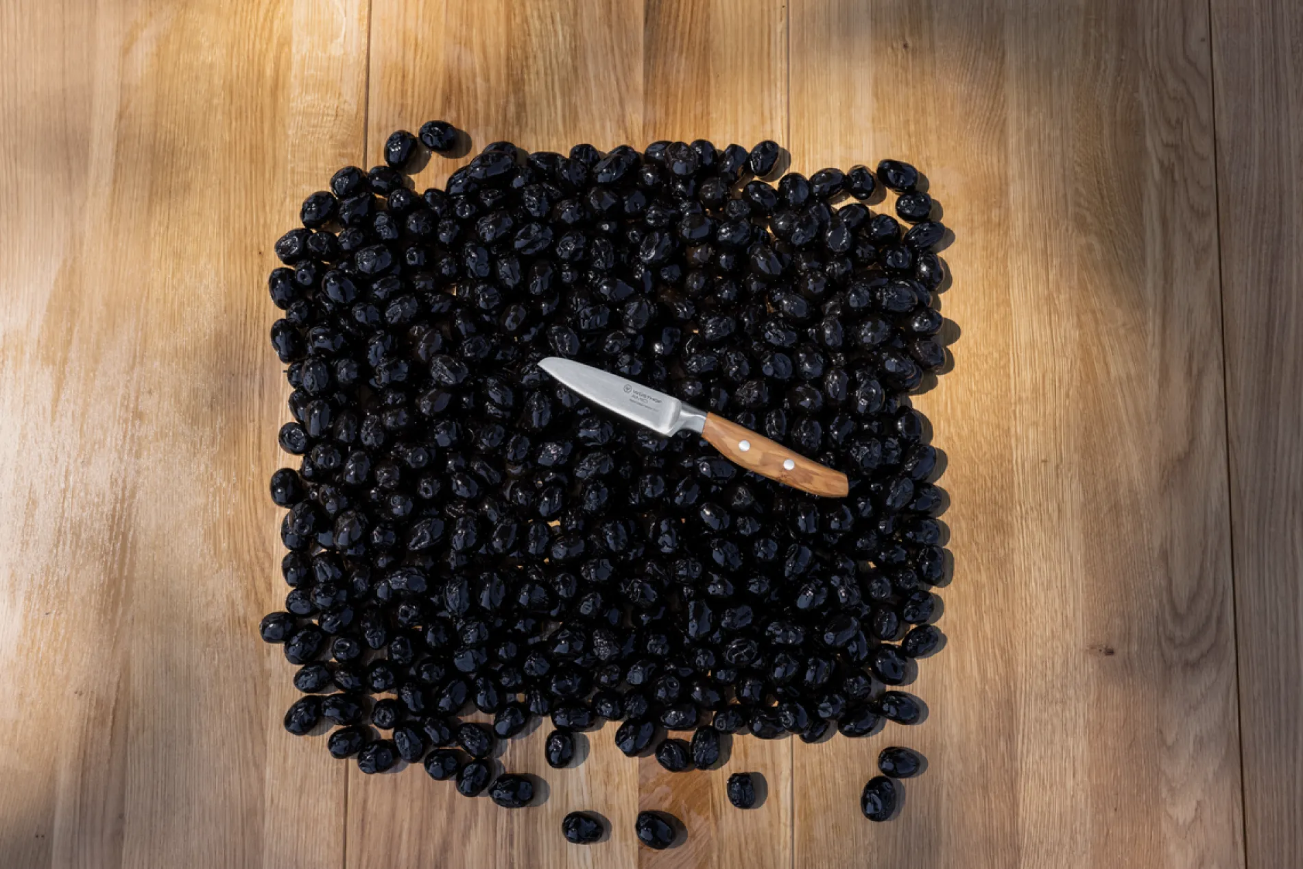 Wüsthof Gemüsemesser>Amici Gemüsemesser 9 cm