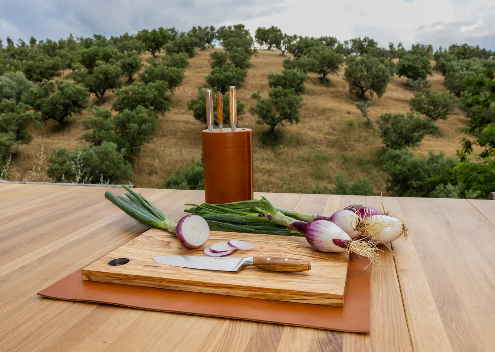 Wüsthof Messerblocksets>Amici Messerblock mit 5 Messern