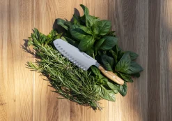 Wüsthof Asiatische Messer>Amici Rotoku 17 cm | mit Kullenschliff