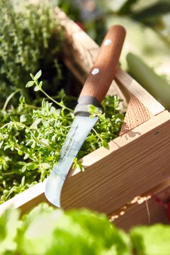 Wüsthof Gemüsemesser><noscript><img width=